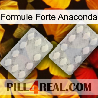 Anaconda Strong Formula 17